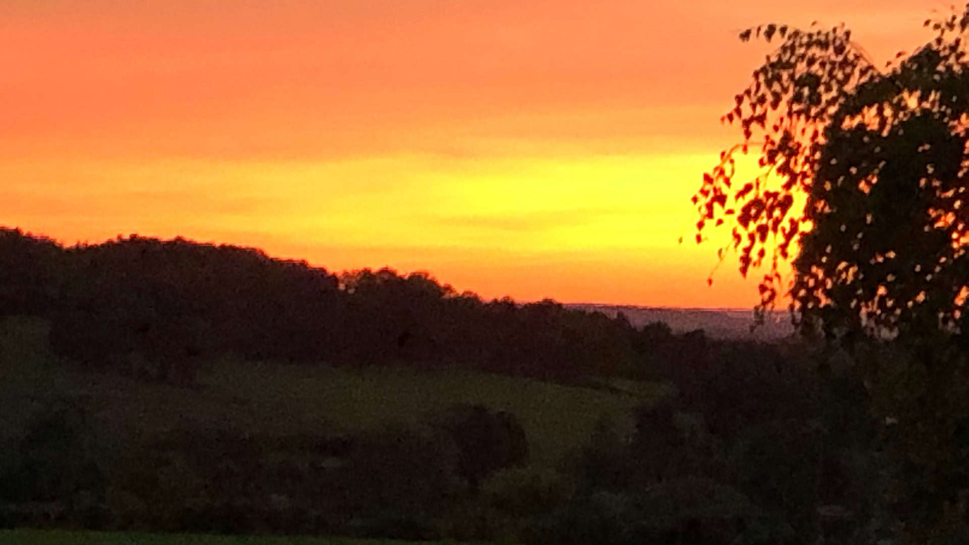 Een levendige zonsondergang met een gradiënt van roest en gele tinten vult de lucht en vormt een silhouet van een verre rij donkere heuvels. Rechts omlijsten bladerrijke takken het uitzicht gedeeltelijk, wat diepte toevoegt aan dit vredige natuurlijke landschap.