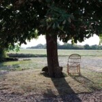 Een enkele houten stoel staat in de schaduw van een grote, bladrijke boom in een open veld. Zonlicht filtert door de takken en werpt schaduwen op het droge gras. De achtergrond is een heldere lucht en een rij verre bomen, wat een rustig plattelandsgezicht creëert.