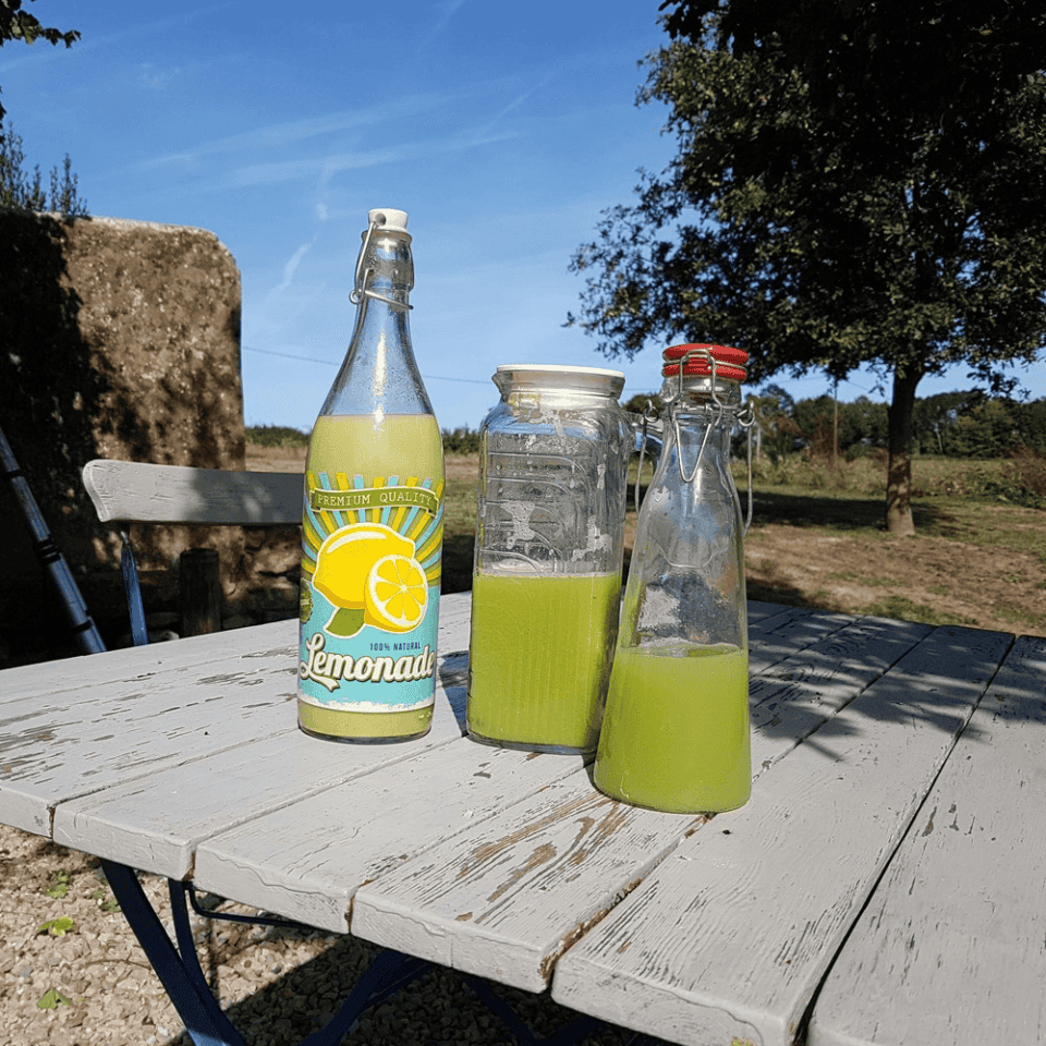 Flessen met groene vloeistof staan buiten op een witte houten tafel. Een heldere glazen limonadefles met een geel etiket staat naast een glazen pot met een wit deksel en een andere glazen fles met een rode dop. De rustige achtergrond toont gras, bomen en een gedeeltelijk bewolkte blauwe lucht, wat de charme van het platteland oproept.