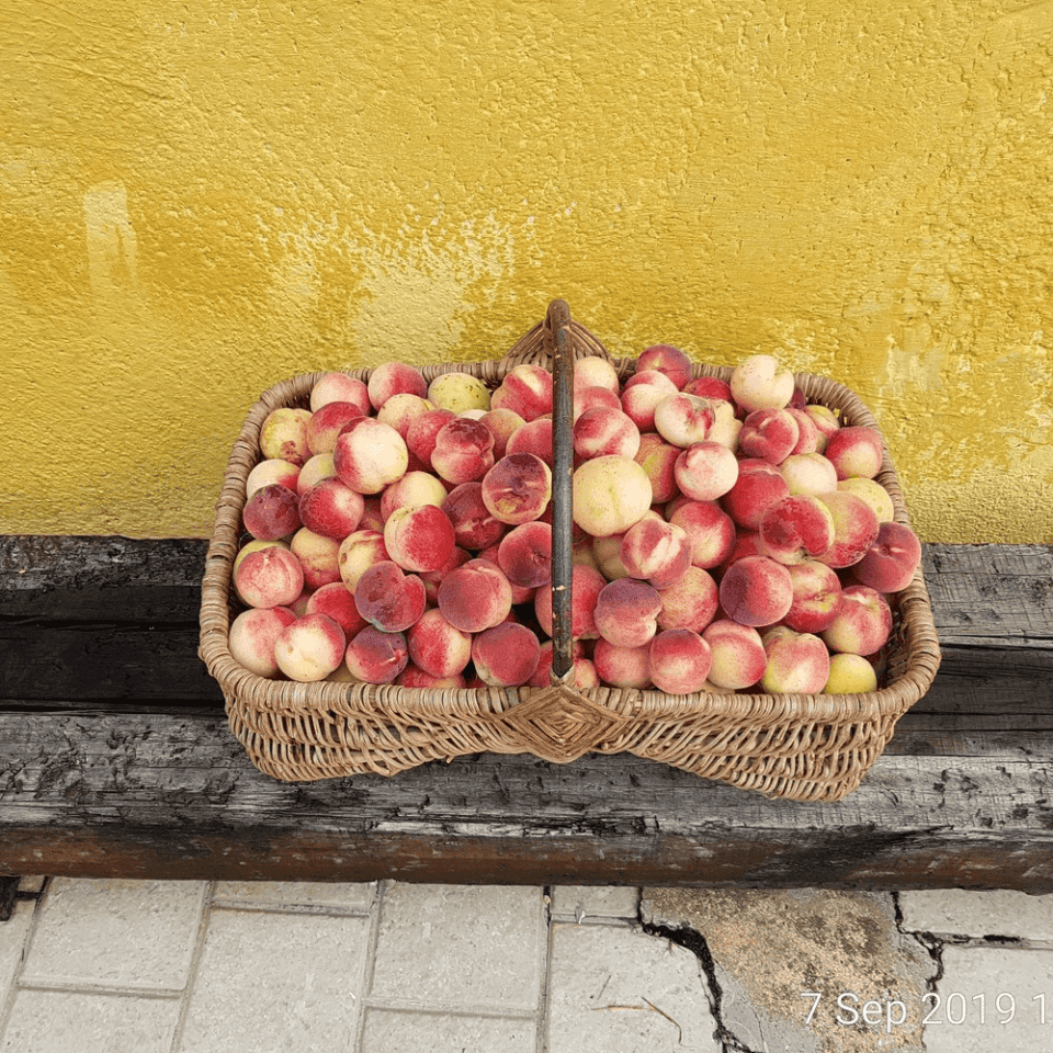 Een rieten mand gevuld met rijpe perziken, in tinten rood en geel, staat tegen een rustieke gele muur. De scène roept de ontspannen charme op van een gîte in Frankrijk. De mand rust op verweerde houten planken boven een stenen betegeld oppervlak, met de datum van de foto gemarkeerd als 7 sep 2019.
