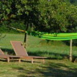 Twee bruine ligstoelen rusten op een grasveld onder de schaduw van een bladerrijke boom, perfect om te genieten van de rustige omgeving. Een felgroene hangmat is vastgebonden tussen twee bomen in de buurt. De achtergrond onthult een veld met groen gras en dicht gebladerte, wat een vredige verbinding met de natuur biedt.
