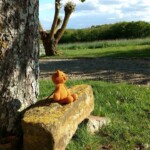 Een klein oranje gebreid kattenspeeltje staat op een stenen bankje in een grasveld naast een grote boom met een getextureerde schors. De achtergrond bestaat uit een grindpad, weelderige groene struiken en een uitgestrekte blauwe lucht met verspreide wolken, wat een rustige landelijke omgeving creëert.