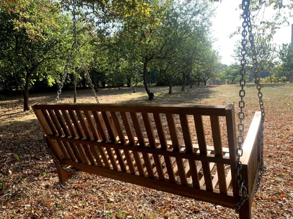 Een houten schommel hangt aan kettingen onder een bladerdak van bomen in een zonnig park. De grond is bedekt met gevallen bladeren en het zonlicht filtert door het gebladerte, waardoor er gevlekte schaduwen ontstaan. Het tafereel roept een gevoel van rust op te midden van de steeds veranderende natuur.