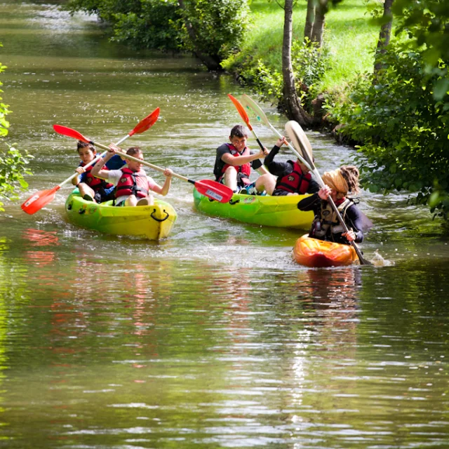 Op een smalle, met bomen omzoomde rivier zijn mensen aan het kajakken. Drie gele kajaks glijden vooruit, hun peddelaars dragen zwemvesten en grijpen peddels vast. Een oranje kajak waagt zich de andere kant op. Het weelderige groene gebladerte en de reflecties voegen een vredige roest toe aan dit landelijke plattelandsgezicht.
