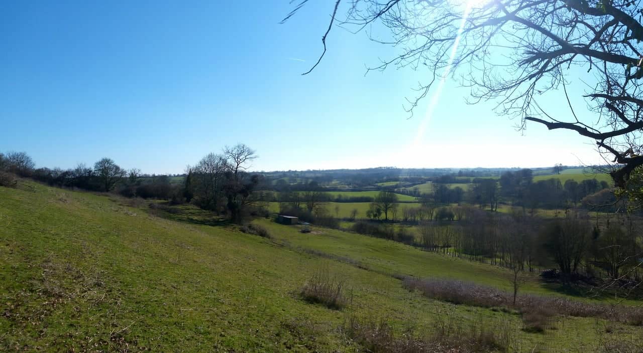 Een schilderachtig uitzicht op het platteland toont glooiende groene heuvels en schaarse bomen onder een helderblauwe lucht. De zon werpt zacht licht over het landschap. In de verte is een kleine gîte omringd door velden en bossen, terwijl een kale boomtak de rechterbovenhoek omlijst.