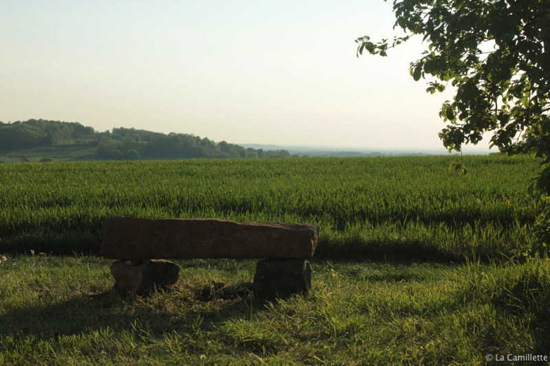 Een stenen bank staat op de voorgrond op een grasveld, met uitzicht op het uitgestrekte platteland onder een heldere hemel. Bomen zijn in de verte zichtbaar en een grote boom omlijst gedeeltelijk de scène aan de rechterkant. De verlichting suggereert een zonnige dag, en werpt zachte schaduwen over dit idyllische uitzicht op het platteland.