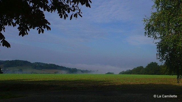Een sereen landschap dat een veld afbeeldt met lage mist erboven, wat doet denken aan de rustige charme rond La Camillette. De lucht is bewolkt met een lichtblauwe tint, omlijst door bladrijke boomtakken aan de zijkanten, terwijl heuvels diepte toevoegen aan deze vredige landelijke omgeving met een vleugje rustieke allure.