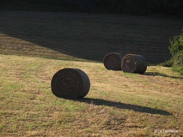 Drie ronde hooibalen liggen op een zonnig grasveld en belichamen de rust van het platteland. Lange schaduwen van de lage zon strekken zich uit over dit idyllische tafereel, waar de heldere voorgrond contrasteert met de schaduwrijke bomen, wat een gevoel van ongerepte natuur oproept.