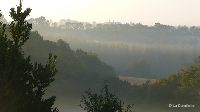 Mist bedekt een sereen plattelandslandschap met glooiende heuvels en dichte boombedekking. De voorgrond toont roestige bladerrijke takken, terwijl de middelste grond een mistige vallei toont. Op de achtergrond is een rij bomen gedeeltelijk zichtbaar door de mist, wat een rustig en sfeervol tafereel creëert.
