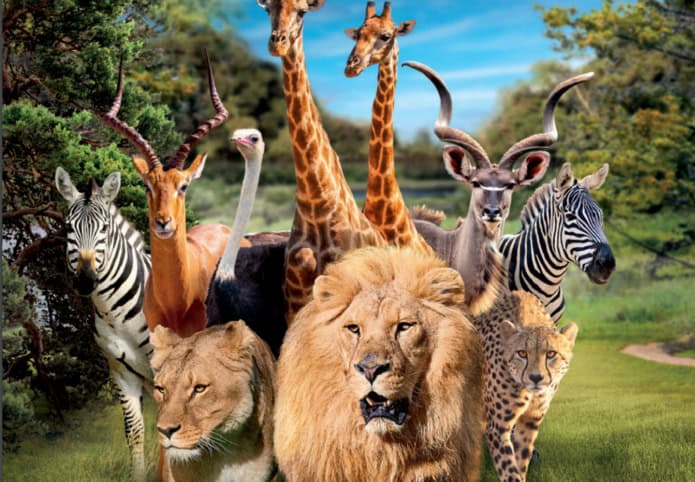 Een diverse groep Afrikaanse wilde dieren in een grasachtig landschap. De scène omvat een leeuw, leeuwin, cheeta, giraffen, zebra's, een antilope en een struisvogel. Met weelderige groene bomen en een helderblauwe lucht op de achtergrond, zwerven de dieren rond met een gevoel van roest dat doet denken aan het Franse platteland.
